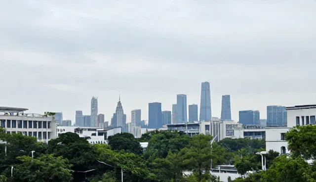企业管理系统选型关注点：软件研发与使用维护